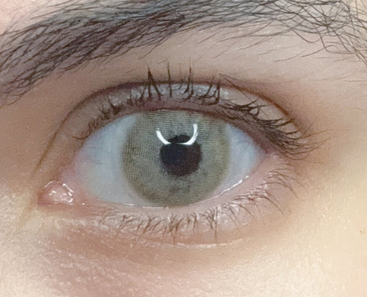 Yukon Brown 14.2mm