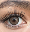 Dawn Brown 14.5mm
