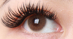 Avela Kk 14.2mm