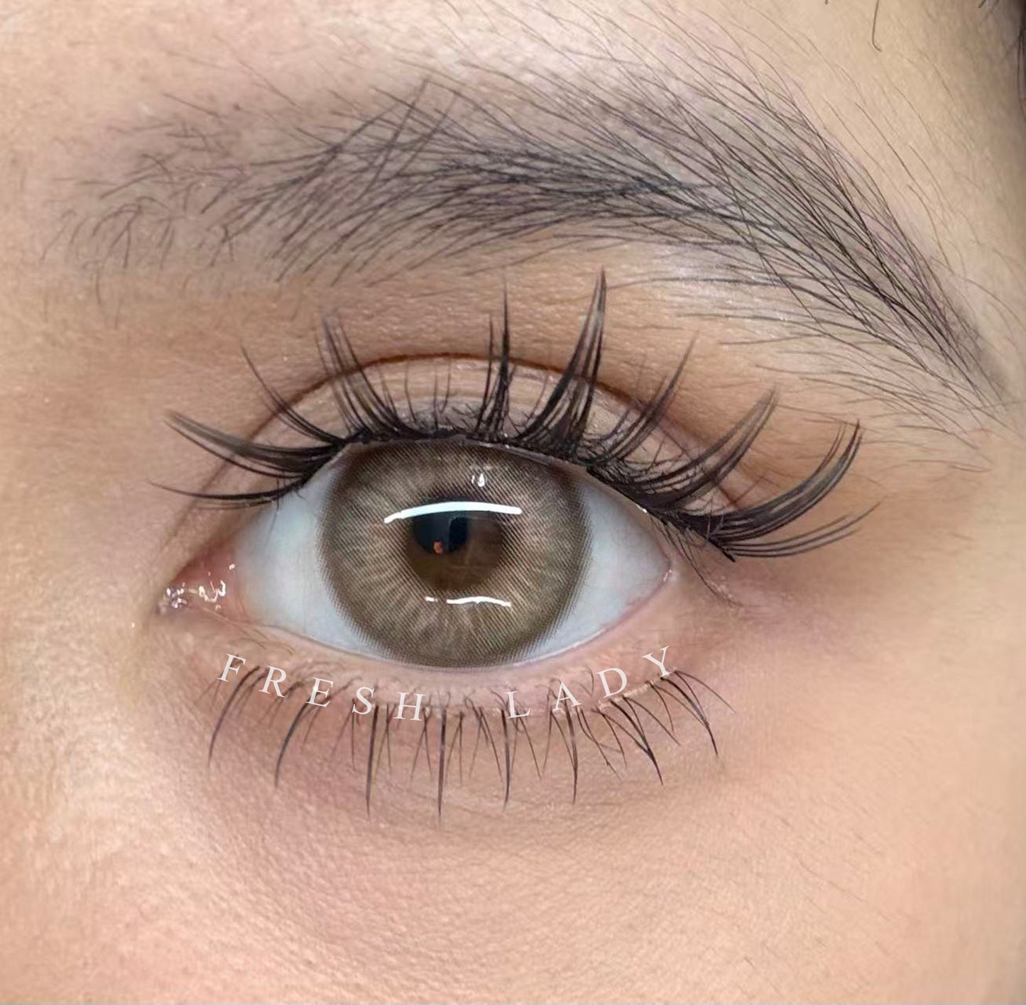 Mira Halo Brown