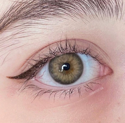 DNA Taylor Brown Hazel