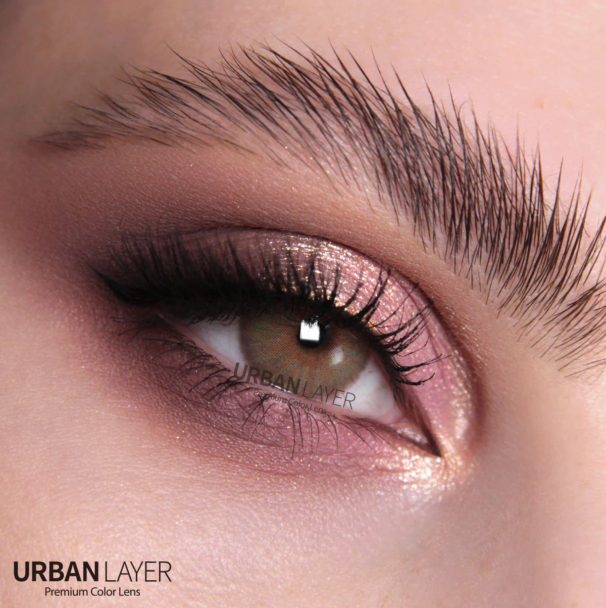 Angeles n Brown 14.2mm
