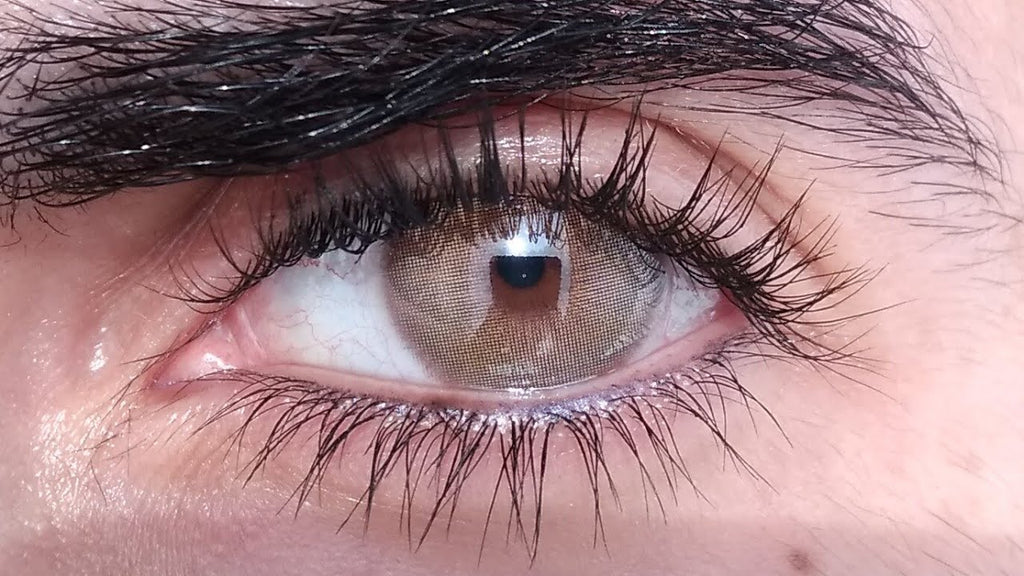 Angeles n Brown 14.2mm