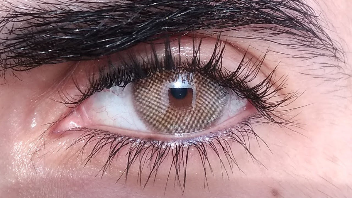 Angeles n Brown 14.2mm
