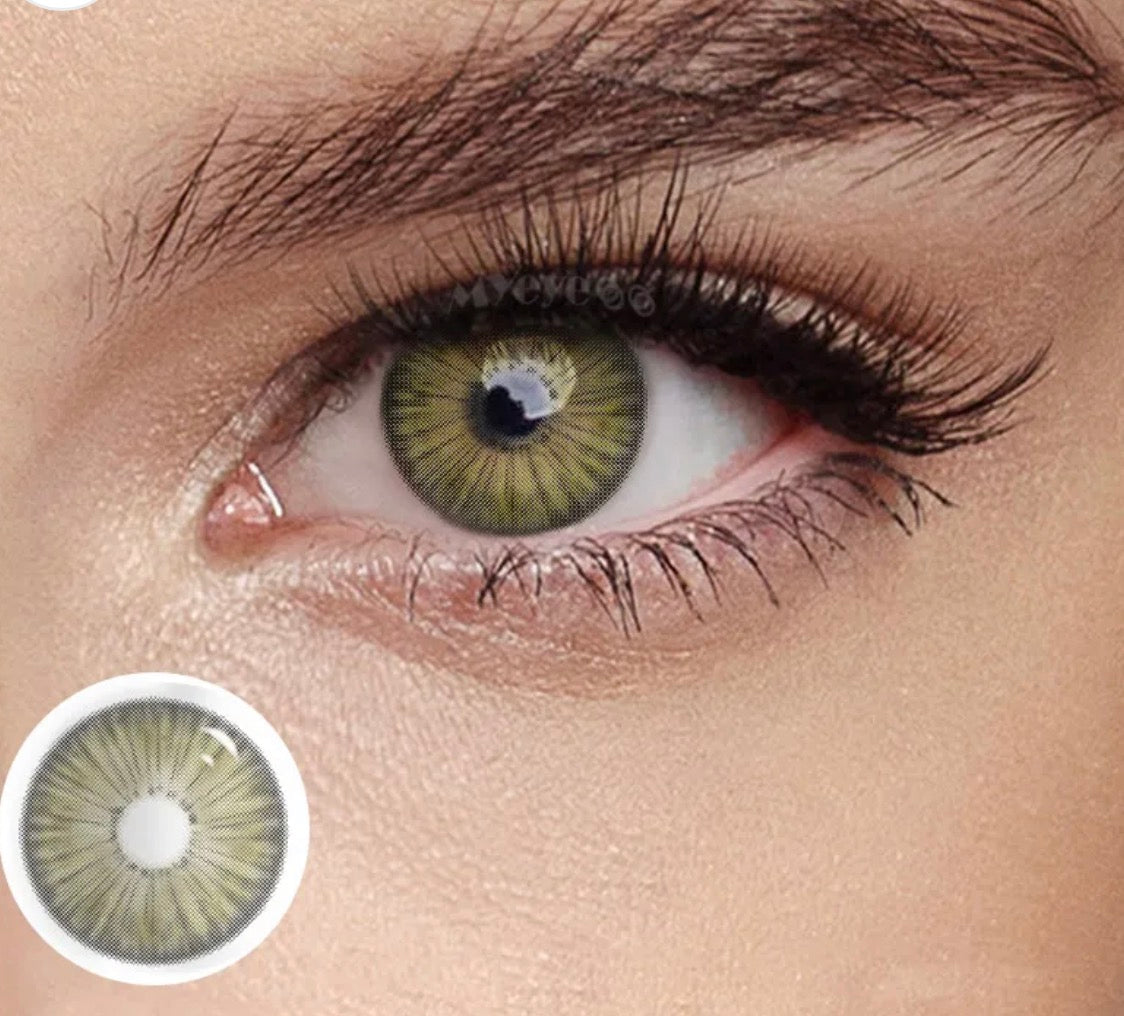 New York pro Gray Brown 14.2mm