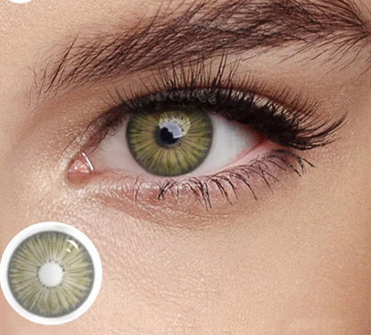 New York pro Gray Brown 14.2mm