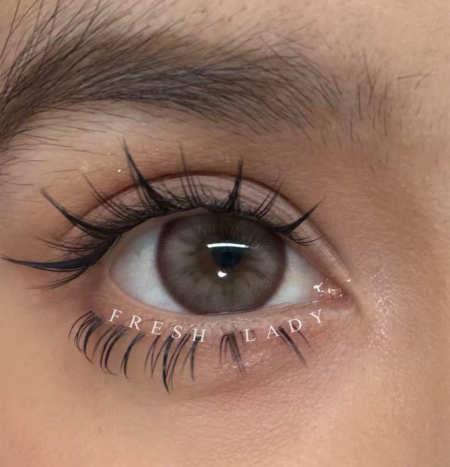 Plum Glow Hazel