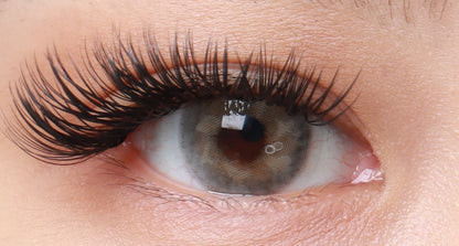 Butterfly Fairy Gray