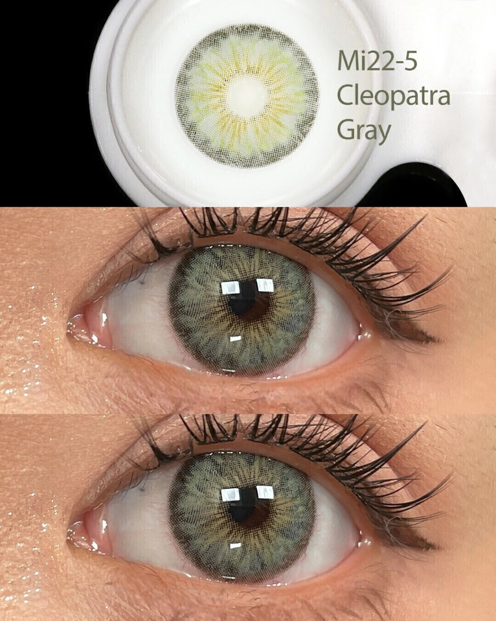 Cleopatra Gray Fresh