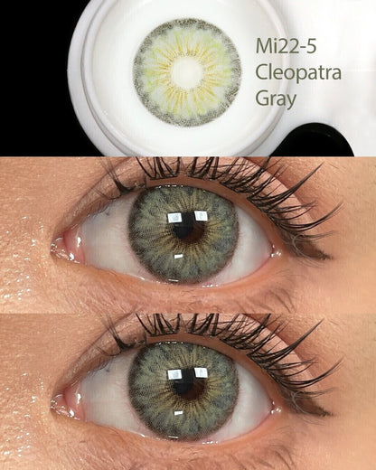 Cleopatra Gray Fresh