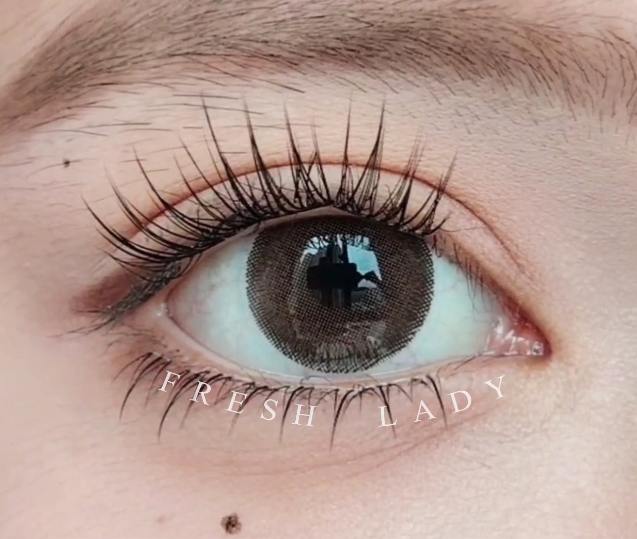 Drama 14.5mm