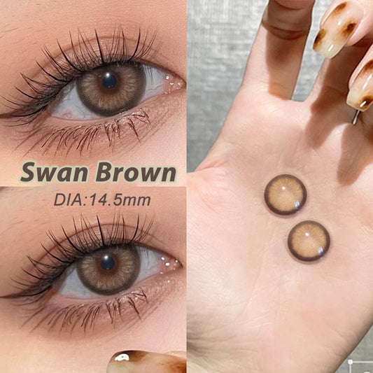 Swan Brown
