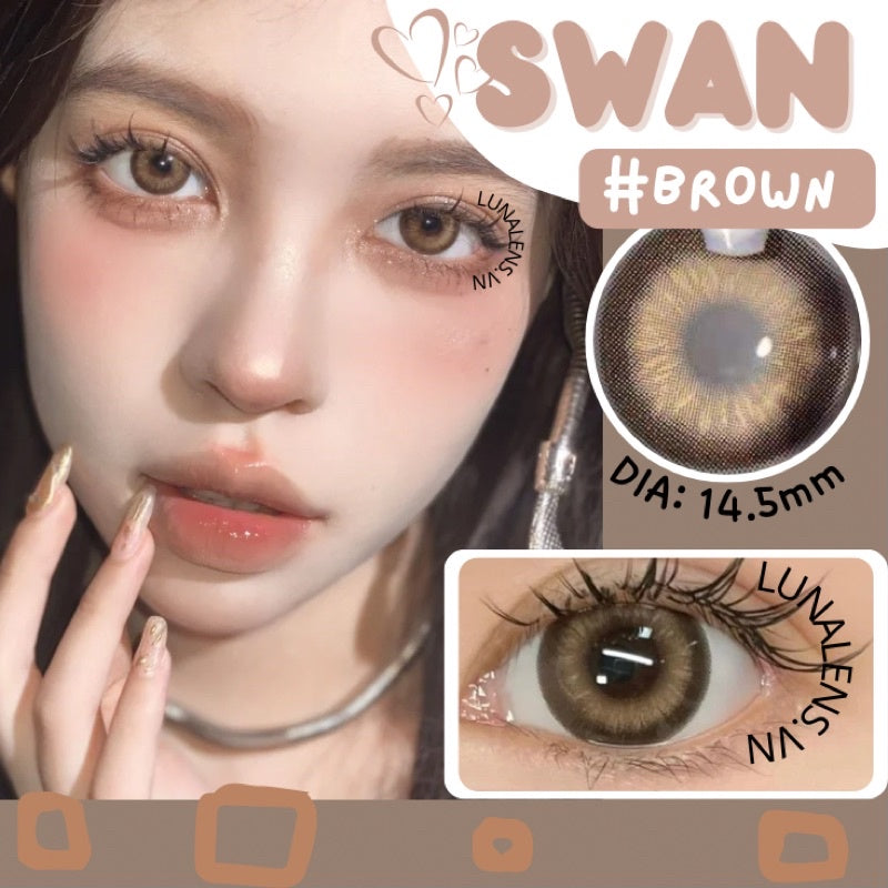 Swan Brown