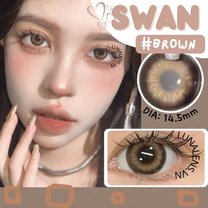 Swan Brown