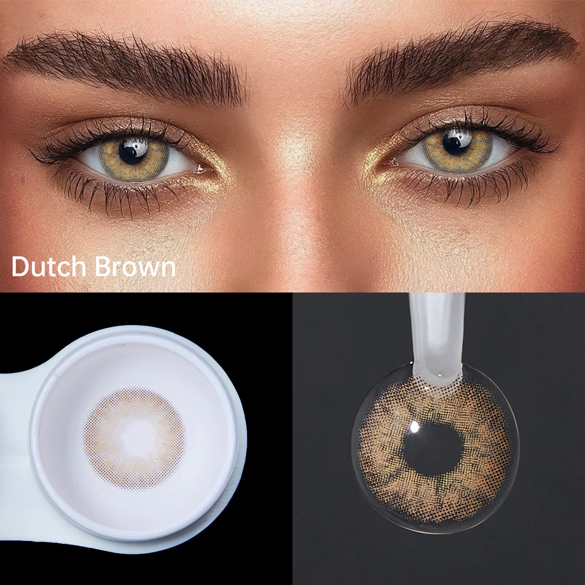 Dutch Brown