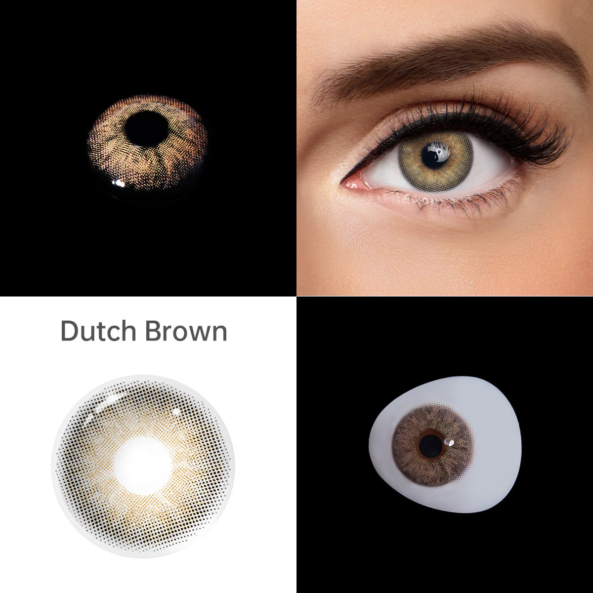 Dutch Brown