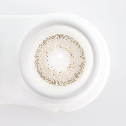 Bellalens Gray Beige